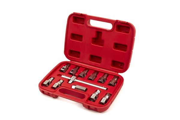HBM 12 Delige Carterplug Doppenset