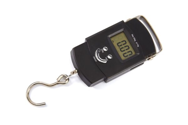 HBM Elektronische Hangweegschaal 50 Kg - Afbeelding 2
