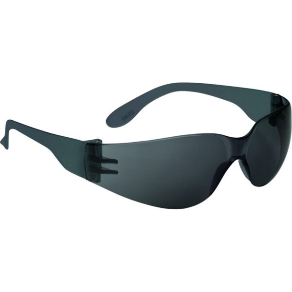Delta Plus veiligheidsbril BRAV2FU